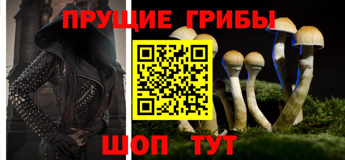 Галлюциногенные грибы Psilocybe  Вход с VPN  Рославль 